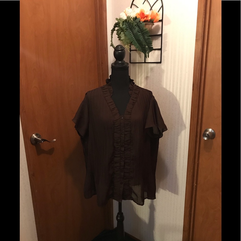 Lifestyle Attitude by Larry Levine Sheer Blouse